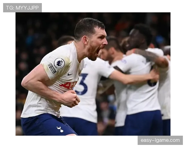 霍伊别尔稳健发挥助热刺全取三分