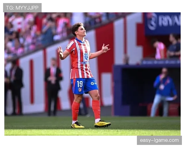 阿尔瓦雷斯南美顶级数据解析：河床爆发赛季表现